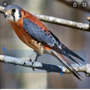 Meet your Posher, Tamara